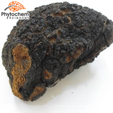 Factory supply Private label Brownish Yellow chaga for sale